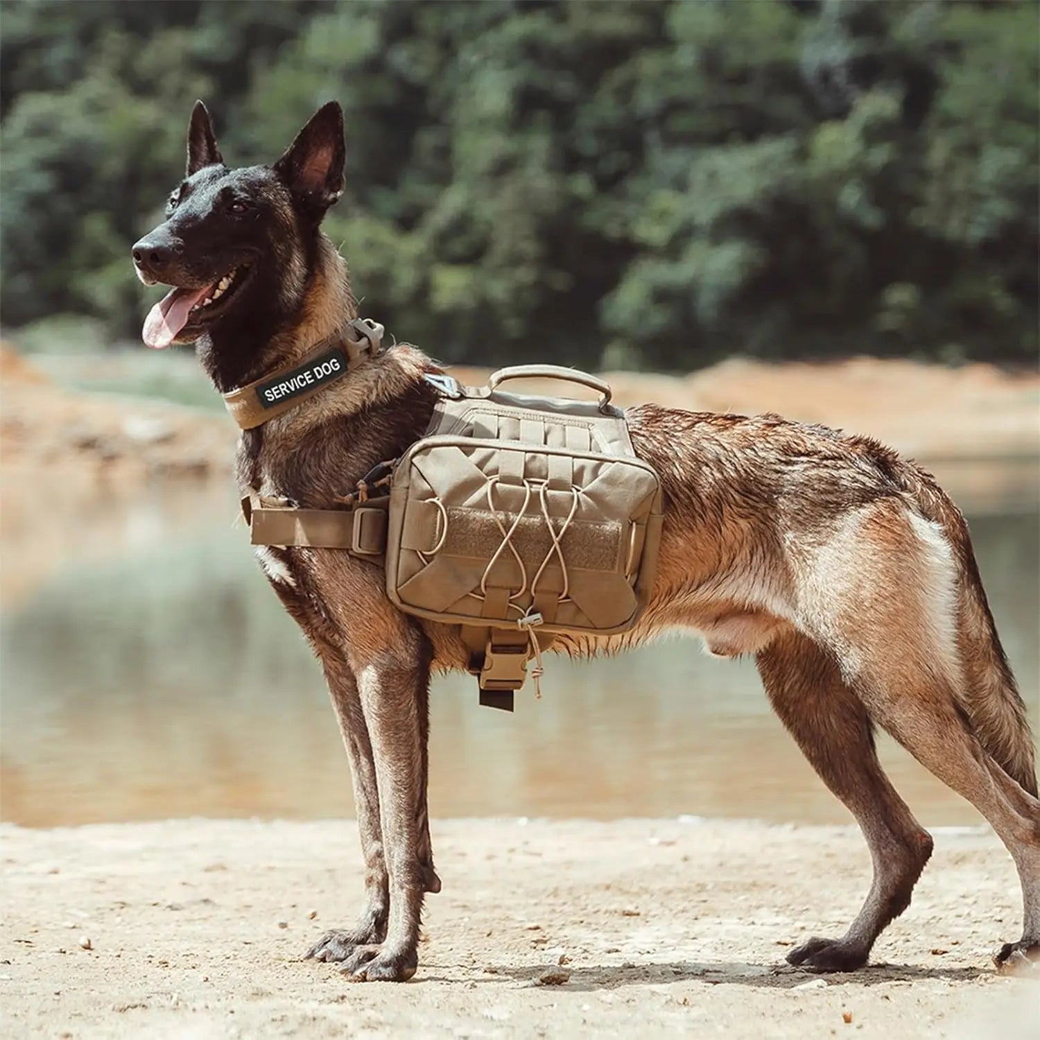 Dog Backpack Tactical Saddle Bag 900D Nylon Hiking Camping Pack Large Dogs
